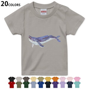 Iׂ20J[ tVc LbY  J[ fUC 90 100 110 120 130 140 150 160 TVc eB[Vc T shirt 011406 C@@