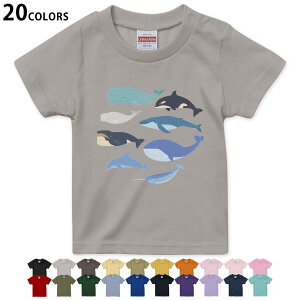 Iׂ20J[ tVc LbY  J[ fUC 90 100 110 120 130 140 150 160 TVc eB[Vc T shirt 015822 @@V`