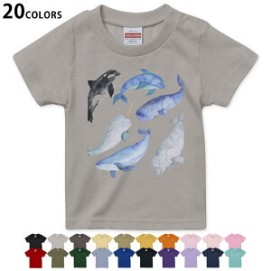 Iׂ20J[ tVc LbY  J[ fUC 90 100 110 120 130 140 150 160 TVc eB[Vc T shirt 015826 @C@@V`