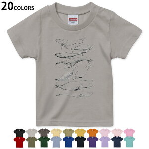 Iׂ20J[ tVc LbY  J[ fUC 90 100 110 120 130 140 150 160 TVc eB[Vc T shirt 015827 @C@@V`