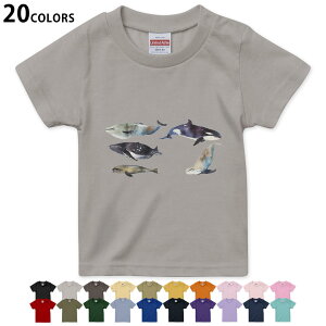 Iׂ20J[ tVc LbY  J[ fUC 90 100 110 120 130 140 150 160 TVc eB[Vc T shirt 015835 @C@@V`