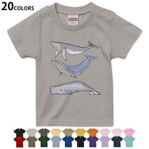 Iׂ20J[ tVc LbY  J[ fUC 90 100 110 120 130 140 150 160 TVc eB[Vc T shirt 015851 @@C