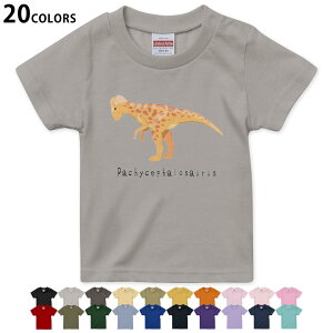 Iׂ20J[ tVc LbY  J[ fUC 90 100 110 120 130 140 150 160 TVc eB[Vc T shirt 017690 pLPt@TEX saurus 