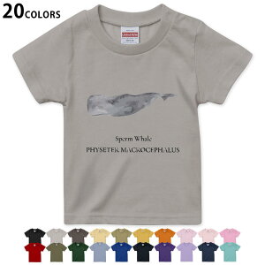 Iׂ20J[ tVc LbY  J[ fUC 90 100 110 120 130 140 150 160 TVc eB[Vc T shirt 019742 C̐ }bRENW sperm whale