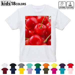 hCTVc z  DRY Iׂ18J[ 4TCY LbY  fUChCTVc X|[c  fUC 120TCY 130TCY 140TCY 150TCY 160TCY 001597 ځ@ʎ