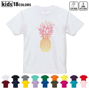 hCTVc z  DRY Iׂ18J[ 4TCY LbY  fUChCTVc X|[c  fUC 120TCY 130TCY 140TCY 150TCY 160TCY 014260 pCibv@