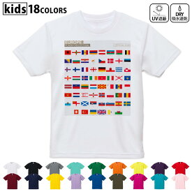ドライTシャツ 吸水 速乾 DRY 選べる18カラー 4サイズ キッズ 半袖 デザインドライTシャツ スポーツ ゆったり デザイン 120サイズ 130サイズ 140サイズ 150サイズ 160サイズ 015769 国旗　かわいい　カラフル