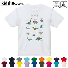 ドライTシャツ 吸水 速乾 DRY 選べる18カラー 4サイズ キッズ 半袖 デザインドライTシャツ スポーツ ゆったり デザイン 120サイズ 130サイズ 140サイズ 150サイズ 160サイズ 017553 ダイナソー　恐竜　Dinosaur　表