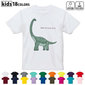 ドライTシャツ 吸水 速乾 DRY 選べる18カラー 4サイズ キッズ 半袖 デザインドライTシャツ スポーツ ゆったり デザイン 120サイズ 130サイズ 140サイズ 150サイズ 160サイズ 017562 ダイナソー　恐竜　Dinosaur　検索結果 ウェブ検索結果 ブラキオサウルス