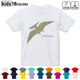 ドライTシャツ 吸水 速乾 DRY 選べる18カラー 4サイズ キッズ 半袖 デザインドライTシャツ スポーツ ゆったり デザイン 120サイズ 130サイズ 140サイズ 150サイズ 160サイズ 017563 ダイナソー　恐竜　Dinosaur　プテラノドン