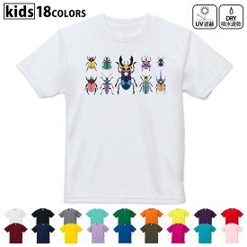 ドライTシャツ 吸水 速乾 DRY 選べる18カラー 4サイズ キッズ 半袖 デザインドライTシャツ スポーツ ゆったり デザイン 120サイズ 130サイズ 140サイズ 150サイズ 160サイズ 017768 昆虫　虫　カラフル　一覧