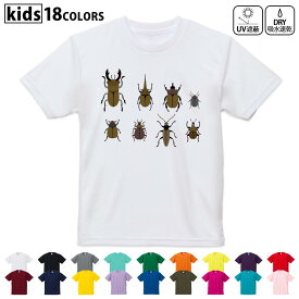 ドライTシャツ 吸水 速乾 DRY 選べる18カラー 4サイズ キッズ 半袖 デザインドライTシャツ スポーツ ゆったり デザイン 120サイズ 130サイズ 140サイズ 150サイズ 160サイズ 017770 昆虫　虫　カブトムシ　クワガタ