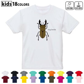 ドライTシャツ 吸水 速乾 DRY 選べる18カラー 4サイズ キッズ 半袖 デザインドライTシャツ スポーツ ゆったり デザイン 120サイズ 130サイズ 140サイズ 150サイズ 160サイズ 017771 昆虫　虫　クワガタ