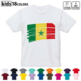 ドライTシャツ 吸水 速乾 DRY 選べる18カラー 4サイズ キッズ 半袖 デザインドライTシャツ スポーツ ゆったり デザイン 120サイズ 130サイズ 140サイズ 150サイズ 160サイズ 018554 senegal セネガル