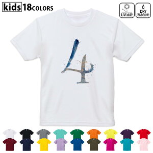 hCTVc z  DRY Iׂ18J[ 4TCY LbY  fUChCTVc X|[c  fUC 120TCY 130TCY 140TCY 150TCY 160TCY 019610  4