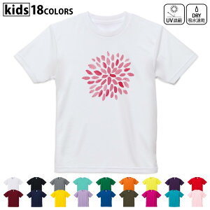 hCTVc z  DRY Iׂ18J[ 4TCY LbY  fUChCTVc X|[c  fUC 120TCY 130TCY 140TCY 150TCY 160TCY 019759  łグԉ fir