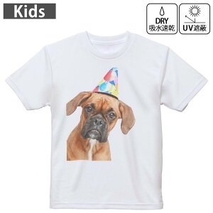 LbY hCTVc zCg  4.1IX g[jO X|[c W ^ hCAX`bN UVJbg OՕ z 120 130 140 150 160 002612 @@ʐ^