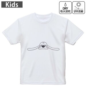 LbY hCTVc zCg  4.1IX g[jO X|[c W ^ hCAX`bN UVJbg OՕ z 120 130 140 150 160 022523  dog 킢