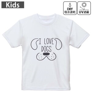 LbY hCTVc zCg  4.1IX g[jO X|[c W ^ hCAX`bN UVJbg OՕ z 120 130 140 150 160 022531  dog 킢