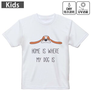 LbY hCTVc zCg  4.1IX g[jO X|[c W ^ hCAX`bN UVJbg OՕ z 120 130 140 150 160 022539  dog 킢