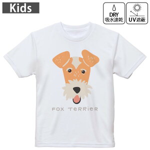 LbY hCTVc zCg  4.1IX g[jO X|[c W ^ hCAX`bN UVJbg OՕ z 120 130 140 150 160 022603  tHbNXEeA