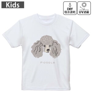 LbY hCTVc zCg  4.1IX g[jO X|[c W ^ hCAX`bN UVJbg OՕ z 120 130 140 150 160 022608  v[h