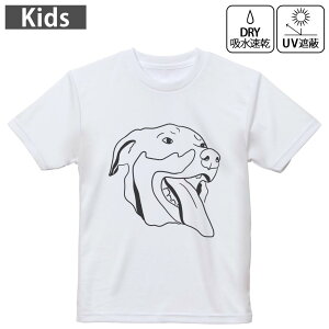 LbY hCTVc zCg  4.1IX g[jO X|[c W ^ hCAX`bN UVJbg OՕ z 120 130 140 150 160 023220 @CXg@