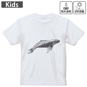 LbY hCTVc zCg  4.1IX g[jO X|[c W ^ hCAX`bN UVJbg OՕ z 120 130 140 150 160 032232 ~