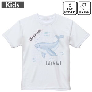 LbY hCTVc zCg  4.1IX g[jO X|[c W ^ hCAX`bN UVJbg OՕ z 120 130 140 150 160 032587 N NW cute