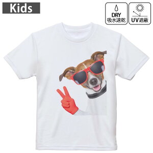 LbY hCTVc zCg  4.1IX g[jO X|[c W ^ hCAX`bN UVJbg OՕ z 120 130 140 150 160 006760 ʐ^@@