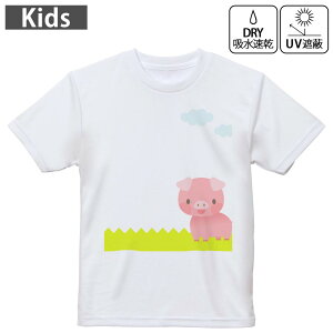 LbY hCTVc zCg  4.1IX g[jO X|[c W ^ hCAX`bN UVJbg OՕ z 120 130 140 150 160 007165 Ԃ@LN^[