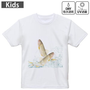 LbY hCTVc zCg  4.1IX g[jO X|[c W ^ hCAX`bN UVJbg OՕ z 120 130 140 150 160 007741 Aj} @ȁ@@݂