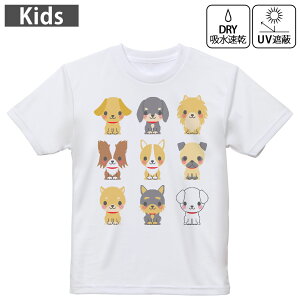 LbY hCTVc zCg  4.1IX g[jO X|[c W ^ hCAX`bN UVJbg OՕ z 120 130 140 150 160 007882 Aj} @ʁ@CXg@