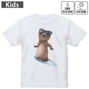 LbY hCTVc zCg  4.1IX g[jO X|[c W ^ hCAX`bN UVJbg OՕ z 120 130 140 150 160 008510 T[tB@@TOX@C