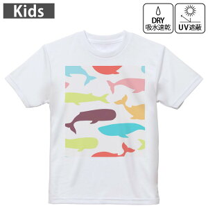 LbY hCTVc zCg  4.1IX g[jO X|[c W ^ hCAX`bN UVJbg OՕ z 120 130 140 150 160 009452 @@Jt