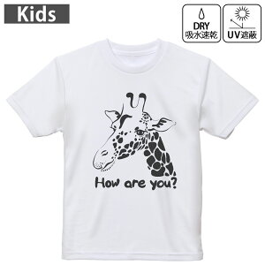 LbY hCTVc zCg  4.1IX g[jO X|[c W ^ hCAX`bN UVJbg OՕ z 120 130 140 150 160 010978 @@p