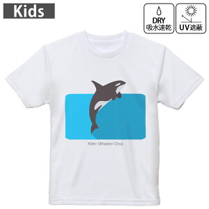 LbY hCTVc zCg  4.1IX g[jO X|[c W ^ hCAX`bN UVJbg OՕ z 120 130 140 150 160 010993 CJ@C@