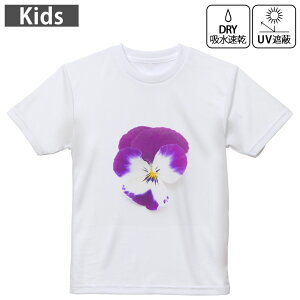 LbY hCTVc zCg  4.1IX g[jO X|[c W ^ hCAX`bN UVJbg OՕ z 120 130 140 150 160 011038 ԁ@t[@