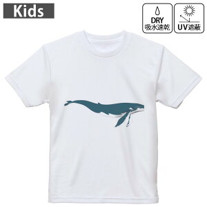 LbY hCTVc zCg  4.1IX g[jO X|[c W ^ hCAX`bN UVJbg OՕ z 120 130 140 150 160 011425 C@@