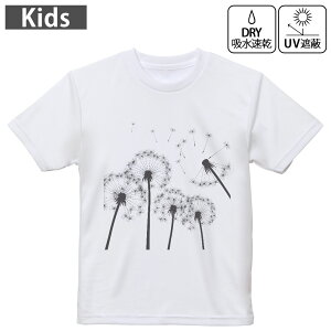 LbY hCTVc zCg  4.1IX g[jO X|[c W ^ hCAX`bN UVJbg OՕ z 120 130 140 150 160 013396 ۂہ@ԁ@Ȗ