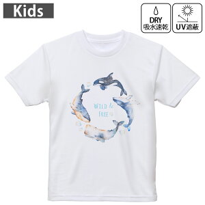 LbY hCTVc zCg  4.1IX g[jO X|[c W ^ hCAX`bN UVJbg OՕ z 120 130 140 150 160 013466 @C@p