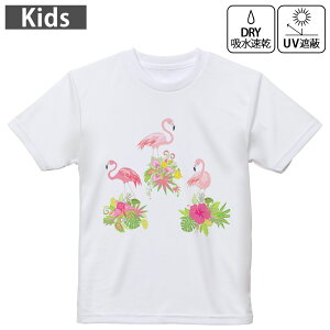 LbY hCTVc zCg  4.1IX g[jO X|[c W ^ hCAX`bN UVJbg OՕ z 120 130 140 150 160 014325 t~S@nCrXJX@gs