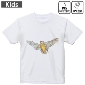 LbY hCTVc zCg  4.1IX g[jO X|[c W ^ hCAX`bN UVJbg OՕ z 120 130 140 150 160 014710 nEB@RE