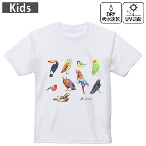 LbY hCTVc zCg  4.1IX g[jO X|[c W ^ hCAX`bN UVJbg OՕ z 120 130 140 150 160 014764 @Jt@bard