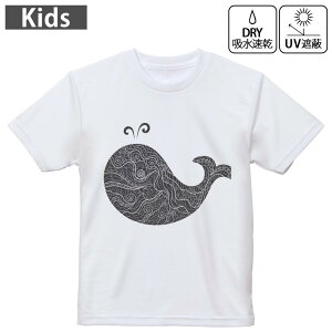 LbY hCTVc zCg  4.1IX g[jO X|[c W ^ hCAX`bN UVJbg OՕ z 120 130 140 150 160 015365 @mN@C