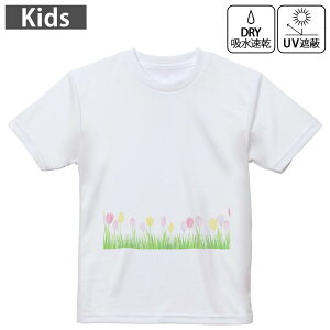 LbY hCTVc zCg  4.1IX g[jO X|[c W ^ hCAX`bN UVJbg OՕ z 120 130 140 150 160 015398 `[bv@ԁ@sN