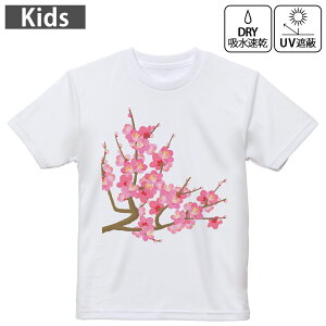 LbY hCTVc zCg  4.1IX g[jO X|[c W ^ hCAX`bN UVJbg OՕ z 120 130 140 150 160 015456 ~@ԁ@A