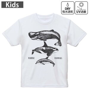 LbY hCTVc zCg  4.1IX g[jO X|[c W ^ hCAX`bN UVJbg OՕ z 120 130 140 150 160 015819 @@V`