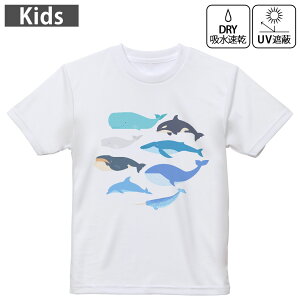 LbY hCTVc zCg  4.1IX g[jO X|[c W ^ hCAX`bN UVJbg OՕ z 120 130 140 150 160 015822 @@V`