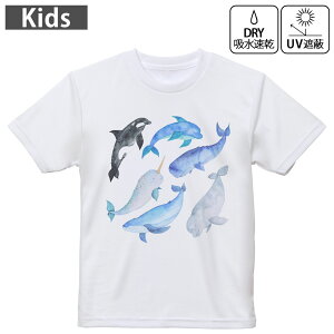 LbY hCTVc zCg  4.1IX g[jO X|[c W ^ hCAX`bN UVJbg OՕ z 120 130 140 150 160 015826 @C@@V`